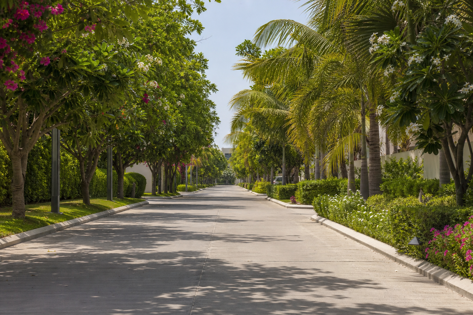 Avenue Plantation