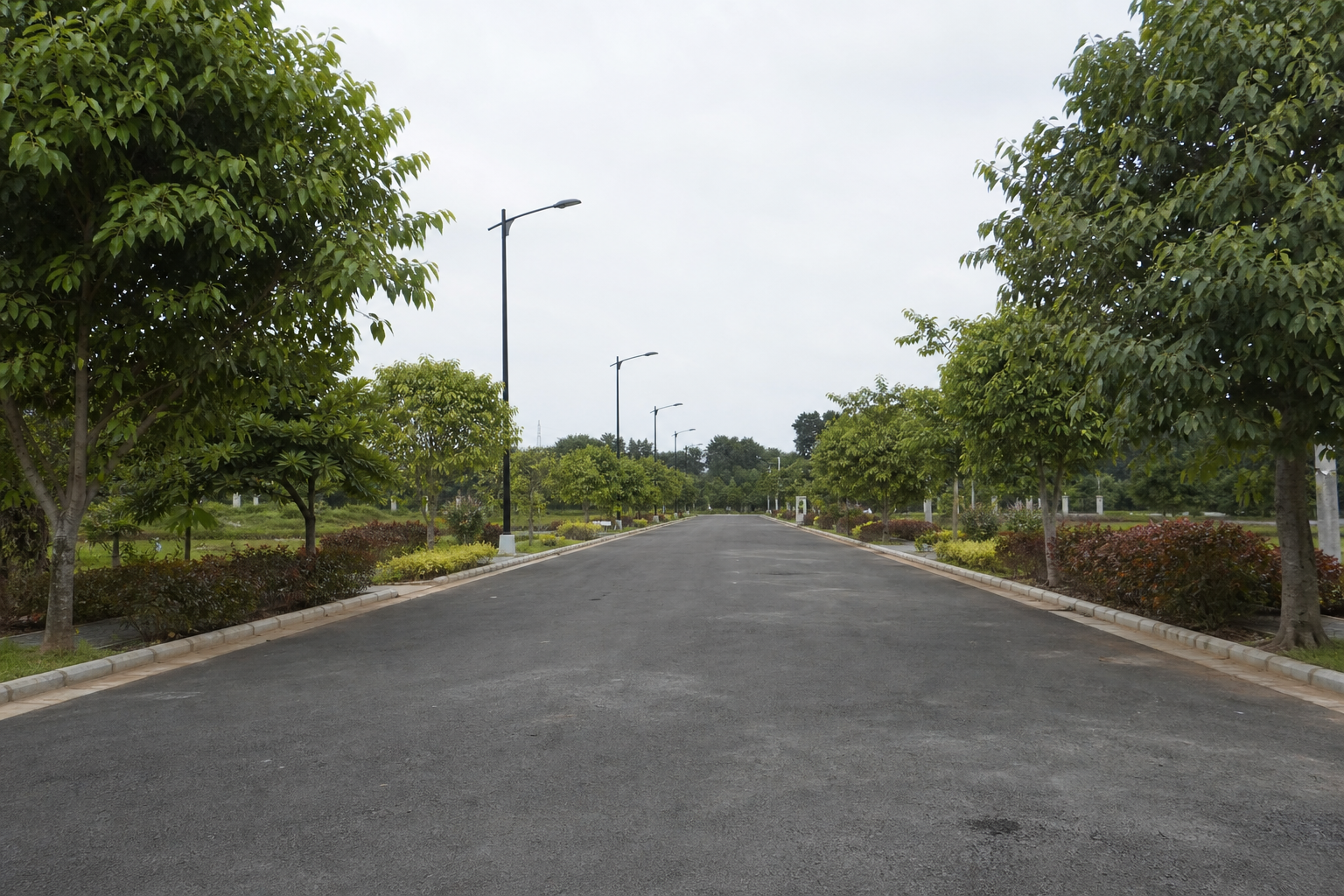 Wide Internal Roads
