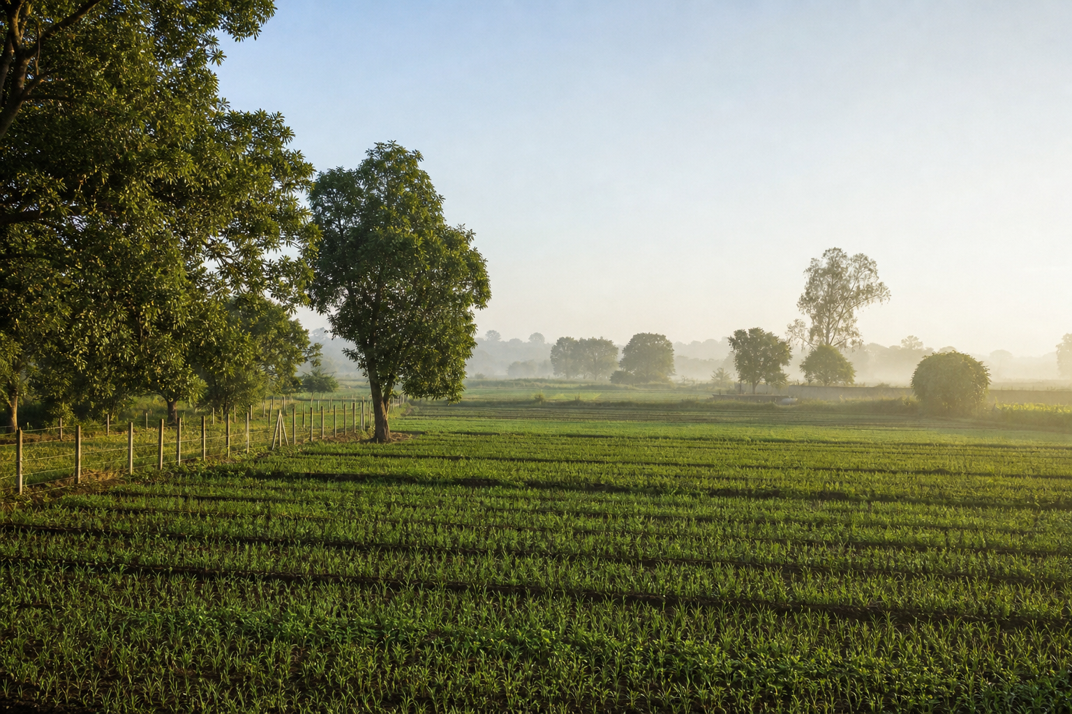 Farmlands